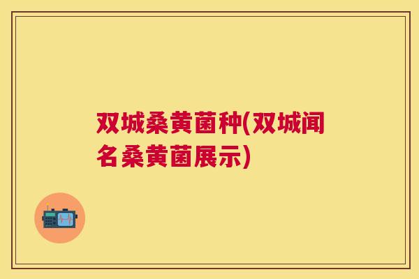 双城桑黄菌种(双城闻名桑黄菌展示) 双城桑黄菌种(双城闻名桑黄菌展示)