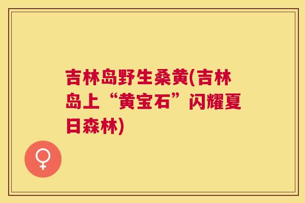 吉林岛野生桑黄(吉林岛上“黄宝石”闪耀夏日森林)
