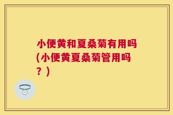 小便黄和夏桑菊有用吗(小便黄夏桑菊管用吗?) 小便黄和夏桑菊有用吗(小便黄夏桑菊管用吗?)