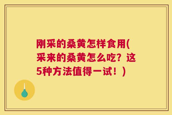 刚采的桑黄怎样食用(采来的桑黄怎么吃?这5种方法值得一试!) 刚采的桑黄怎样食用(采来的桑黄怎么吃?这5种方法值得一试!)