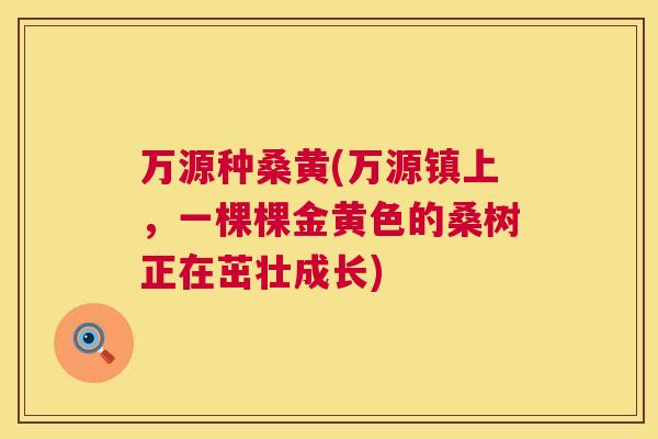 万源种桑黄(万源镇上,一棵棵金黄色的桑树正在茁壮成长) 万源种桑黄(万源镇上,一棵棵金黄色的桑树正在茁壮成长)