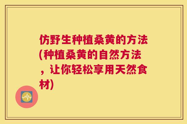 仿野生种植桑黄的方法(种植桑黄的自然方法,让你轻松享用天然食材) 仿野生种植桑黄的方法(种植桑黄的自然方法,让你轻松享用天然食材)