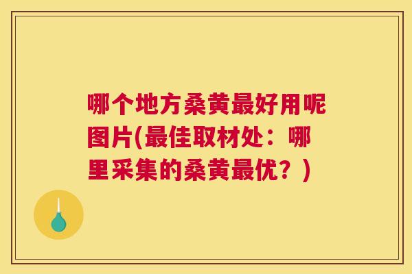 哪个地方桑黄好用呢图片(佳取材处:哪里采集的桑黄优?) 哪个地方桑黄好用呢图片(佳取材处:哪里采集的桑黄优?)