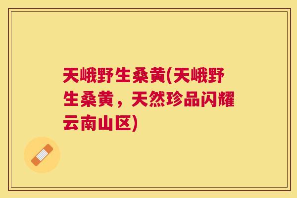 天峨野生桑黄(天峨野生桑黄，天然珍品闪耀云南山区)