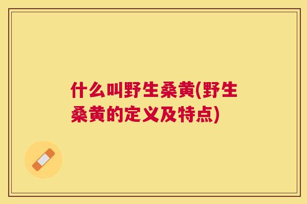 什么叫野生桑黄(野生桑黄的定义及特点) 什么叫野生桑黄(野生桑黄的定义及特点)