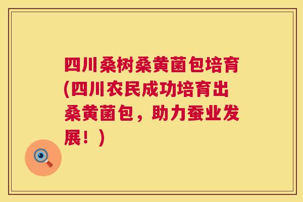 四川桑树桑黄菌包培育(四川农民成功培育出桑黄菌包,助力蚕业发展!) 四川桑树桑黄菌包培育(四川农民成功培育出桑黄菌包,助力蚕业发展!)