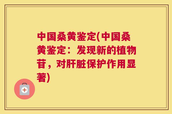 中国桑黄鉴定(中国桑黄鉴定:发现新的植物苷,对保护作用显著) 中国桑黄鉴定(中国桑黄鉴定:发现新的植物苷,对保护作用显著)