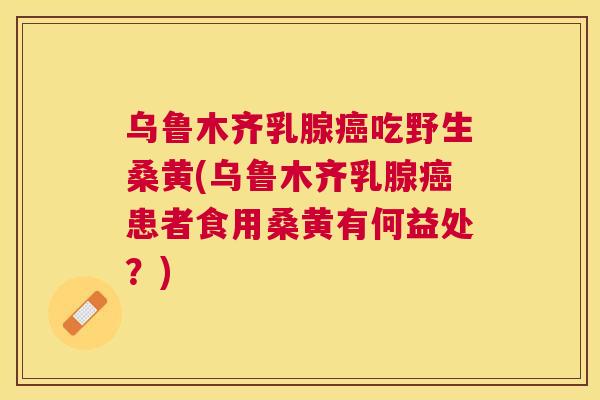 乌鲁木齐乳腺吃野生桑黄(乌鲁木齐乳腺患者食用桑黄有何益处?) 乌鲁木齐乳腺吃野生桑黄(乌鲁木齐乳腺患者食用桑黄有何益处?)