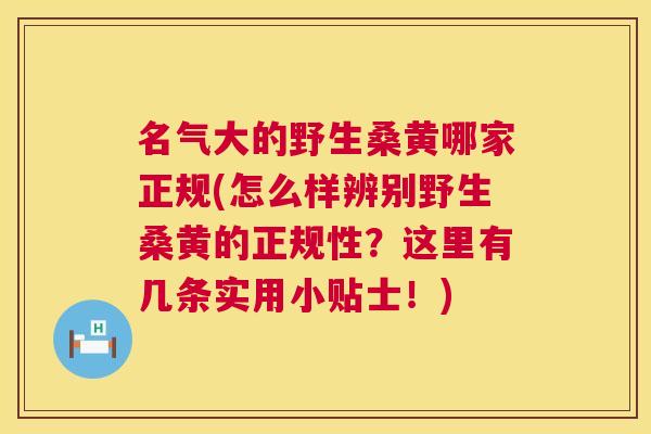 名气大的野生桑黄哪家正规(怎么样辨别野生桑黄的正规性?这里有几条实用小贴士!) 名气大的野生桑黄哪家正规(怎么样辨别野生桑黄的正规性?这里有几条实用小贴士!)