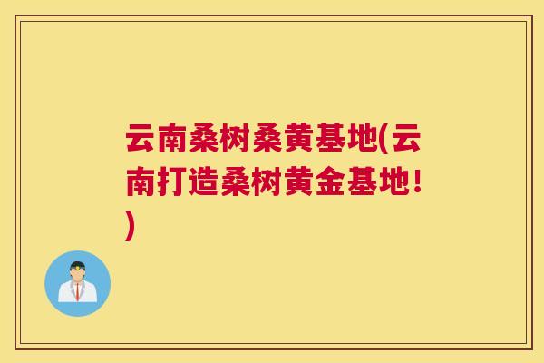 云南桑树桑黄基地(云南打造桑树黄金基地!) 云南桑树桑黄基地(云南打造桑树黄金基地!)