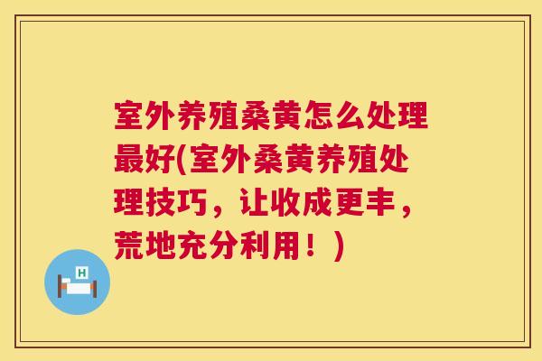 室外养殖桑黄怎么处理好(室外桑黄养殖处理技巧,让收成更丰,荒地充分利用!) 室外养殖桑黄怎么处理好(室外桑黄养殖处理技巧,让收成更丰,荒地充分利用!)