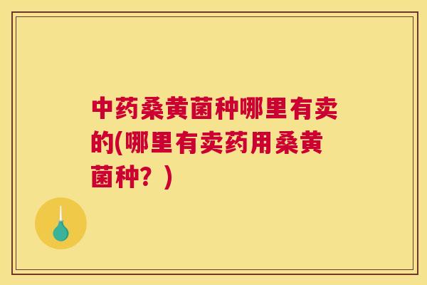 桑黄菌种哪里有卖的(哪里有卖药用桑黄菌种?) 桑黄菌种哪里有卖的(哪里有卖药用桑黄菌种?)