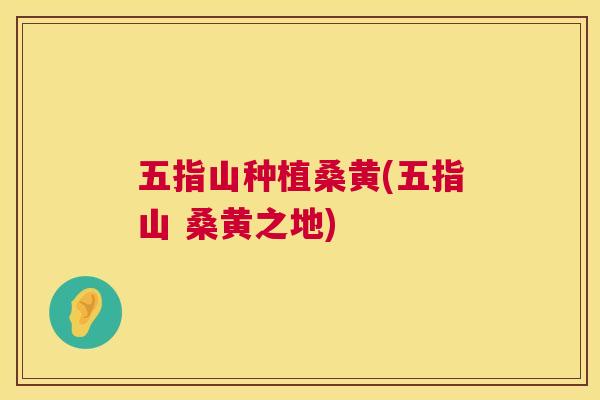 五指山种植桑黄(五指山 桑黄之地) 五指山种植桑黄(五指山 桑黄之地)