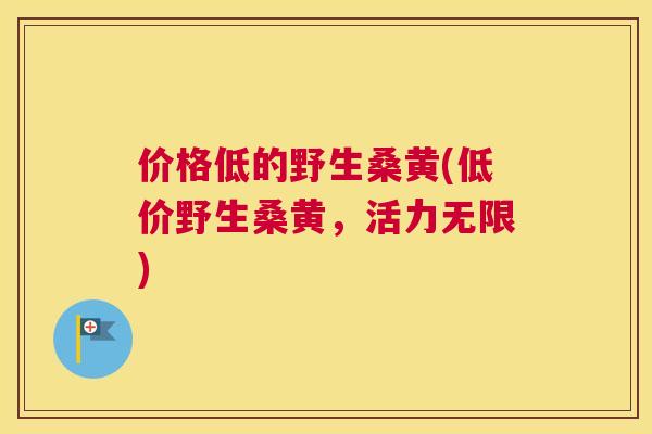 价格低的野生桑黄(低价野生桑黄，活力无限)