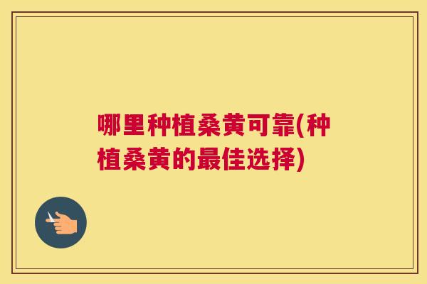 哪里种植桑黄可靠(种植桑黄的佳选择) 哪里种植桑黄可靠(种植桑黄的佳选择)