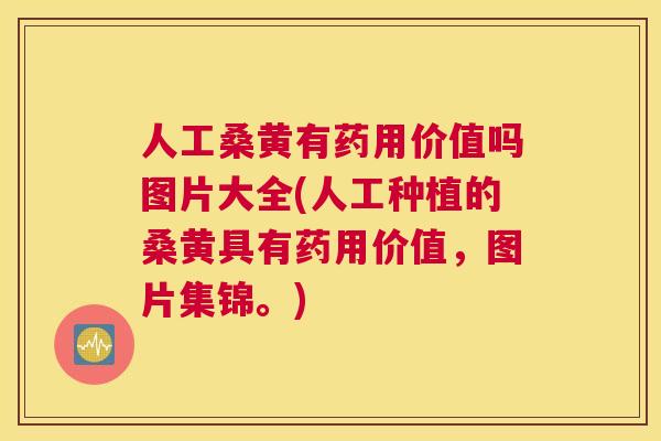 人工桑黄有药用价值吗图片大全(人工种植的桑黄具有药用价值,图片集锦。) 人工桑黄有药用价值吗图片大全(人工种植的桑黄具有药用价值,图片集锦。)