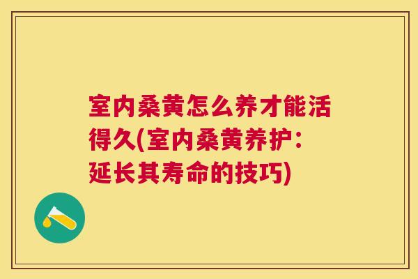 室内桑黄怎么养才能活得久(室内桑黄养护:延长其寿命的技巧) 室内桑黄怎么养才能活得久(室内桑黄养护:延长其寿命的技巧)