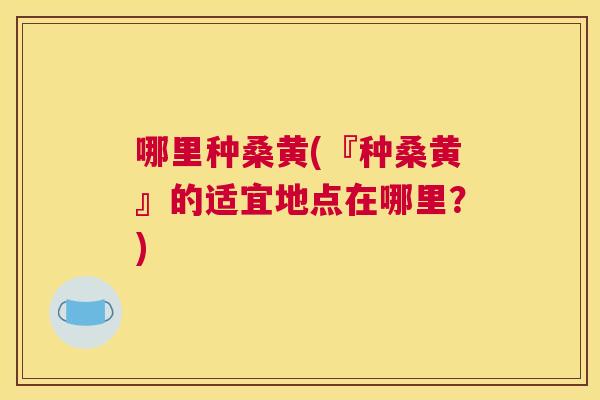 哪里种桑黄(『种桑黄』的适宜地点在哪里?) 哪里种桑黄(『种桑黄』的适宜地点在哪里?)