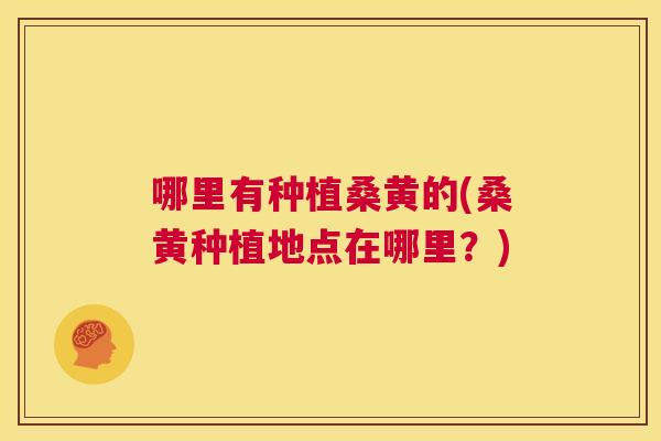 哪里有种植桑黄的(桑黄种植地点在哪里?) 哪里有种植桑黄的(桑黄种植地点在哪里?)