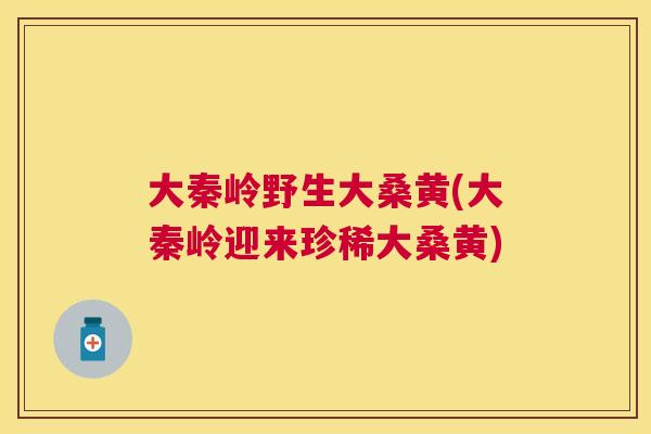 大秦岭野生大桑黄(大秦岭迎来珍稀大桑黄) 大秦岭野生大桑黄(大秦岭迎来珍稀大桑黄)