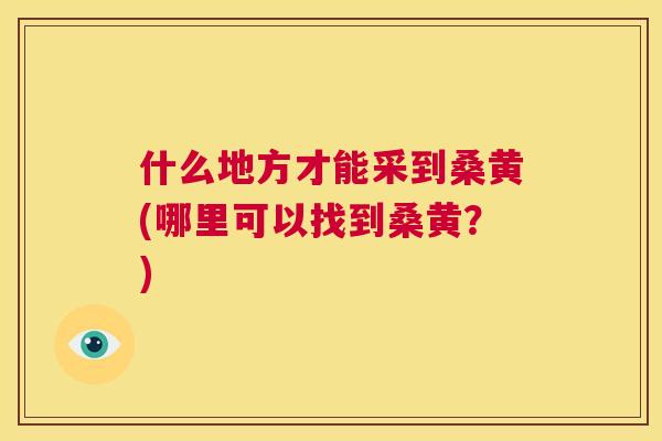 什么地方才能采到桑黄(哪里可以找到桑黄?) 什么地方才能采到桑黄(哪里可以找到桑黄?)