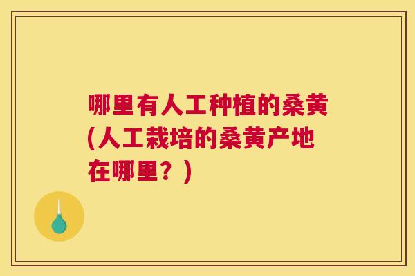 哪里有人工种植的桑黄(人工栽培的桑黄产地在哪里?) 哪里有人工种植的桑黄(人工栽培的桑黄产地在哪里?)