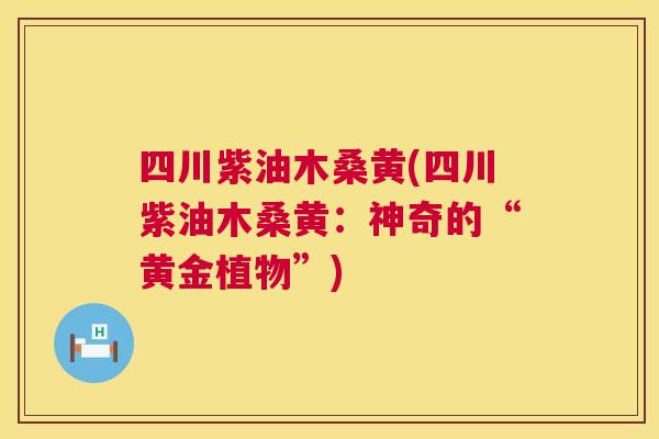 四川紫油木桑黄(四川紫油木桑黄:神奇的“黄金植物”) 四川紫油木桑黄(四川紫油木桑黄:神奇的“黄金植物”)