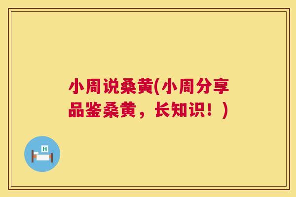 小周说桑黄(小周分享品鉴桑黄,长知识!) 小周说桑黄(小周分享品鉴桑黄,长知识!)
