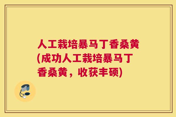 人工栽培暴马丁香桑黄(成功人工栽培暴马丁香桑黄,收获丰硕) 人工栽培暴马丁香桑黄(成功人工栽培暴马丁香桑黄,收获丰硕)