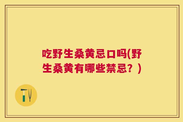 吃野生桑黄忌口吗(野生桑黄有哪些禁忌?) 吃野生桑黄忌口吗(野生桑黄有哪些禁忌?)