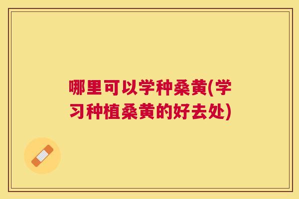 哪里可以学种桑黄(学习种植桑黄的好去处) 哪里可以学种桑黄(学习种植桑黄的好去处)