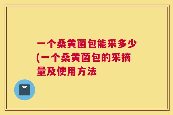 一个桑黄菌包能采多少(一个桑黄菌包的采摘量及使用方法 一个桑黄菌包能采多少(一个桑黄菌包的采摘量及使用方法