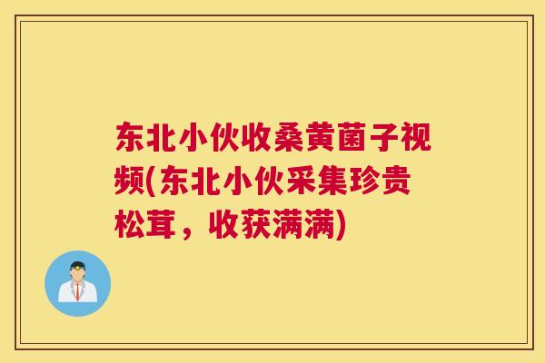 东北小伙收桑黄菌子视频(东北小伙采集珍贵松茸,收获满满) 东北小伙收桑黄菌子视频(东北小伙采集珍贵松茸,收获满满)