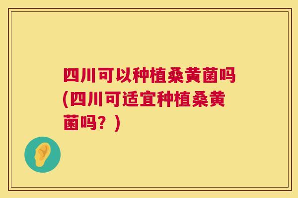四川可以种植桑黄菌吗(四川可适宜种植桑黄菌吗?) 四川可以种植桑黄菌吗(四川可适宜种植桑黄菌吗?)