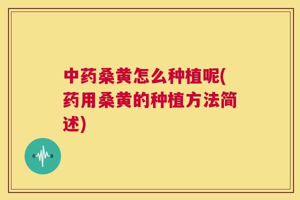 桑黄怎么种植呢(药用桑黄的种植方法简述) 桑黄怎么种植呢(药用桑黄的种植方法简述)
