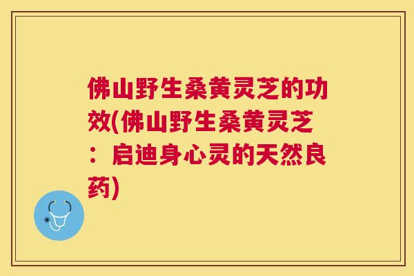 佛山野生桑黄灵芝的功效(佛山野生桑黄灵芝:启迪身心灵的天然良药) 佛山野生桑黄灵芝的功效(佛山野生桑黄灵芝:启迪身心灵的天然良药)