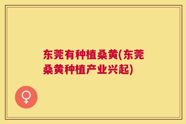 东莞有种植桑黄(东莞桑黄种植产业兴起) 东莞有种植桑黄(东莞桑黄种植产业兴起)