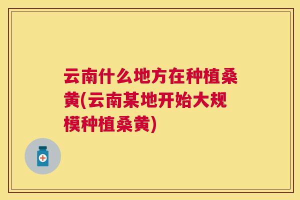 云南什么地方在种植桑黄(云南某地开始大规模种植桑黄)
