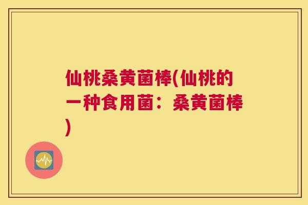仙桃桑黄菌棒(仙桃的一种食用菌:桑黄菌棒) 仙桃桑黄菌棒(仙桃的一种食用菌:桑黄菌棒)