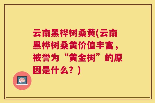 云南黑桦树桑黄(云南黑桦树桑黄价值丰富,被誉为“黄金树”的原因是什么?) 云南黑桦树桑黄(云南黑桦树桑黄价值丰富,被誉为“黄金树”的原因是什么?)