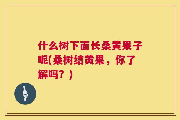 什么树下面长桑黄果子呢(桑树结黄果,你了解吗?) 什么树下面长桑黄果子呢(桑树结黄果,你了解吗?)