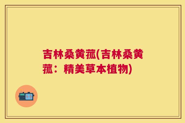 吉林桑黄菰(吉林桑黄菰：精美草本植物)