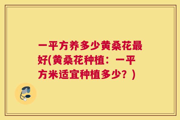 一平方养多少黄桑花好(黄桑花种植:一平方米适宜种植多少?) 一平方养多少黄桑花好(黄桑花种植:一平方米适宜种植多少?)