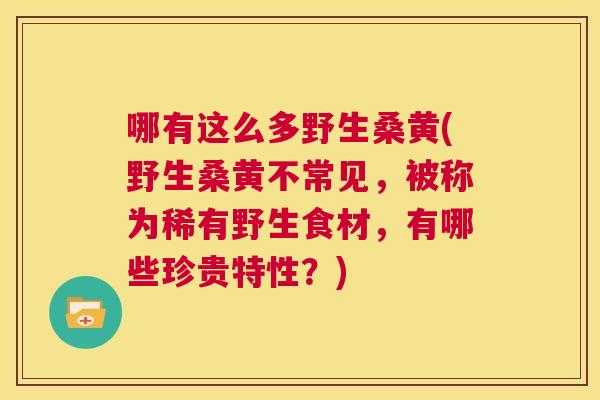 哪有这么多野生桑黄(野生桑黄不常见,被称为稀有野生食材,有哪些珍贵特性?) 哪有这么多野生桑黄(野生桑黄不常见,被称为稀有野生食材,有哪些珍贵特性?)