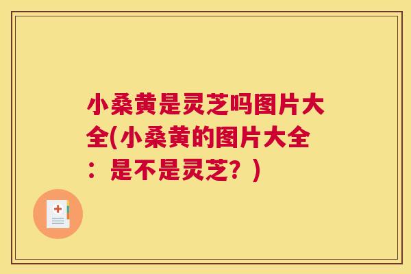 小桑黄是灵芝吗图片大全(小桑黄的图片大全:是不是灵芝?) 小桑黄是灵芝吗图片大全(小桑黄的图片大全:是不是灵芝?)