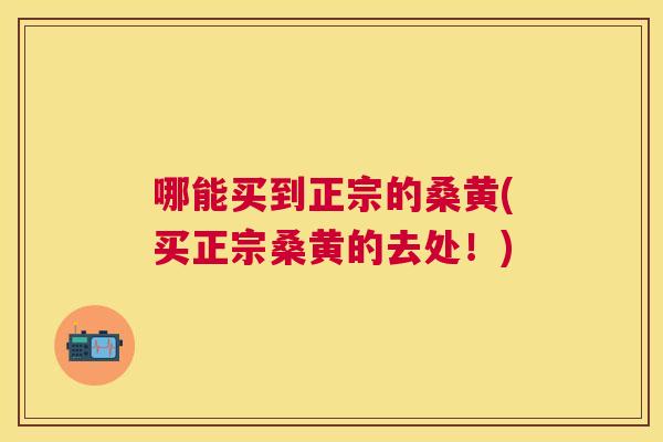 哪能买到正宗的桑黄(买正宗桑黄的去处!) 哪能买到正宗的桑黄(买正宗桑黄的去处!)