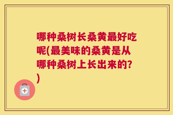 哪种桑树长桑黄好吃呢(美味的桑黄是从哪种桑树上长出来的?) 哪种桑树长桑黄好吃呢(美味的桑黄是从哪种桑树上长出来的?)
