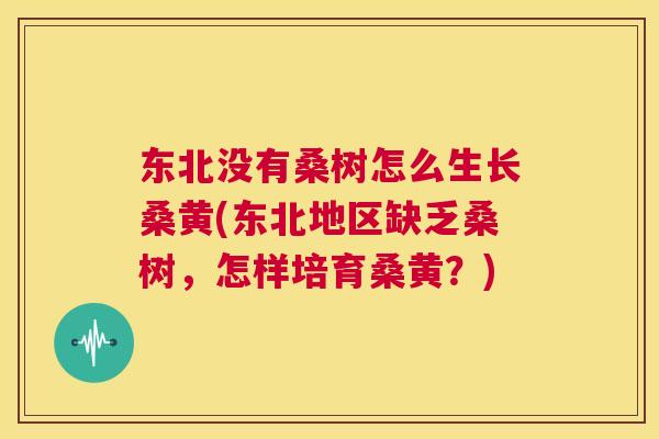 东北没有桑树怎么生长桑黄(东北地区缺乏桑树,怎样培育桑黄?) 东北没有桑树怎么生长桑黄(东北地区缺乏桑树,怎样培育桑黄?)