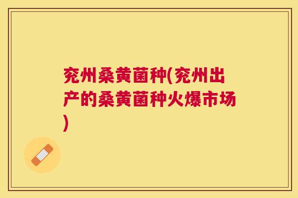 兖州桑黄菌种(兖州出产的桑黄菌种火爆市场) 兖州桑黄菌种(兖州出产的桑黄菌种火爆市场)