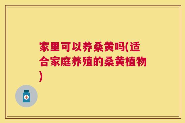 家里可以养桑黄吗(适合家庭养殖的桑黄植物) 家里可以养桑黄吗(适合家庭养殖的桑黄植物)